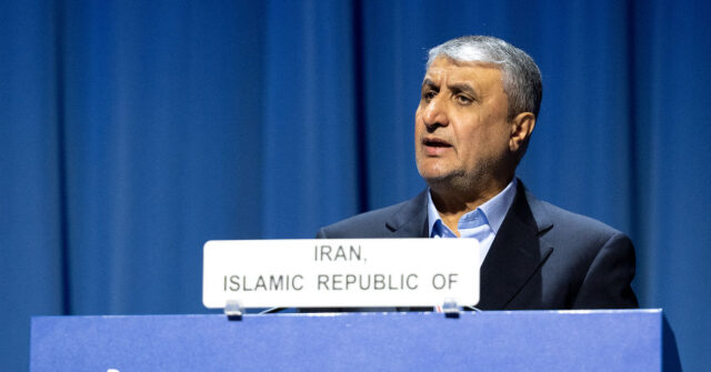 Venezuela, Iran Enhance Cooperation in Nuclear, Nanotechnology Fields