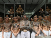 MS-13 Gang Banger Called ‘Anticristo’ Sentenced for Machete Killings of Four Men at New