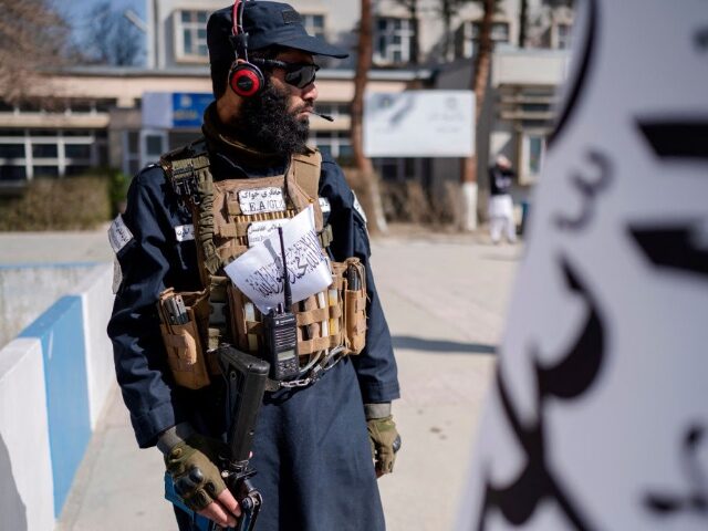 A Taliban security personnel stands guard during the ceremony held to mark the start of ne
