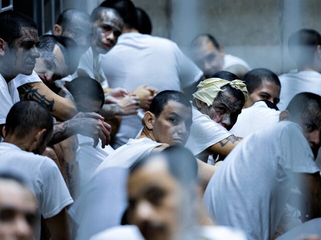 US deports 17 gang-linked criminals in joint operation with El Salvador SAN SALVADOR, EL SALVADOR - MARCH 31: (----EDITORIAL USE ONLY - MANDATORY CREDIT - 'E