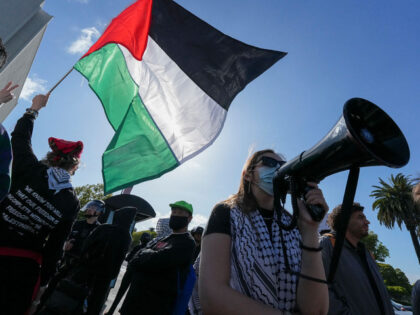 On the Global Day of Action for Gaza, pro-Palestine protesters demonstrate and call for an
