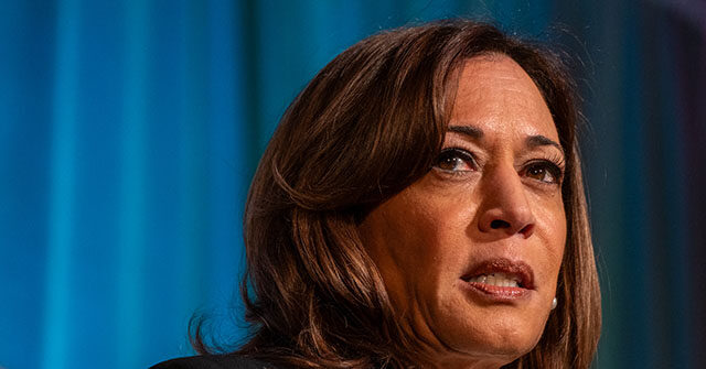 Report: Democrats Skeptical About Kamala Harris 2028 Presidential Run