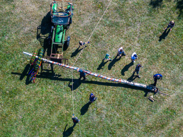 Maypole is erected in Prokrent 01 May 2025, Mecklenburg-Western Pomerania, Pokrent: Members of the volunteer fire departm