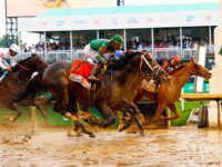 Report: All Horses in 151st Kentucky Derby Were Descended from Legendary Secretariat
