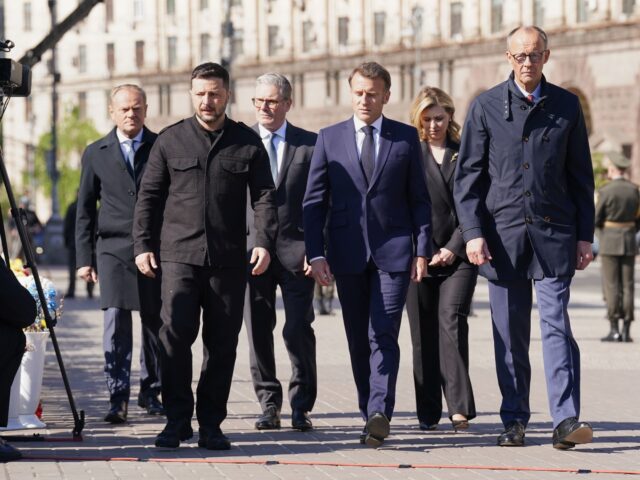 Ukraine, European Allies Push for 30-Day Ceasefire With Russia