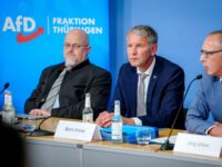 Spying on Opposition Political Party ‘Endangering Democracy’, Warns AfD Leader