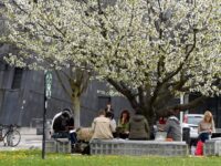 French University Art Installation Attacks ‘White Males’ to Mark ‘Equality Month&