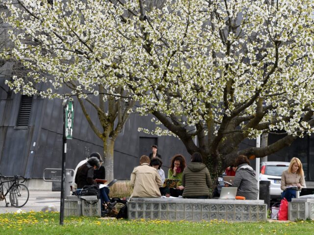 French University Art Installation Attacks ‘White Males’ to Mark ‘Equality Month&