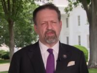 Gorka to Comey: ‘You Committed a Crime — Threatening the Life of an Incumbent President Is 