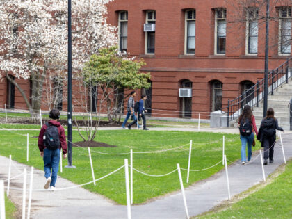 People walk past blooming trees on the Harvard University Campus on April 15, 2025 in Camb