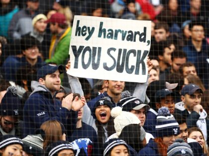 BOSTON, MA - NOVEMBER 17: A Yale Bulldogs fan holds a sign that reads 'Harvard Sucks&
