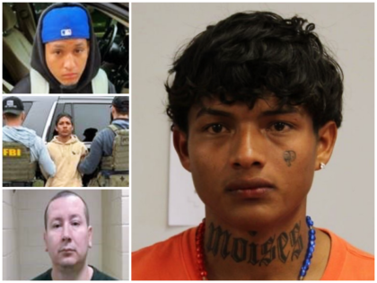 Immigration and Customs Enforcement
