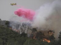 Wildfires Burn 5,000 Acres in Israel, but ‘Miraculously’ Leave Homes Untouched