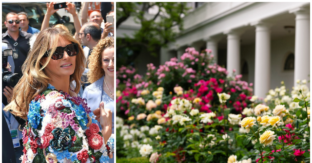 Photos: First Lady Melania Trump Showcases Blossoming Rose Garden