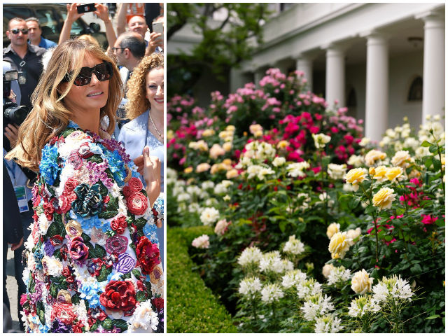 Photos: First Lady Melania Trump Showcases Blossoming Rose Garden