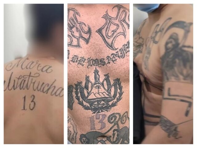 MS-13 Gang Members Stab Virginia Prison Guards MS-13 Gang Members Stab Virginia Prison Guards (FILE: U.S. Border Patrol)
