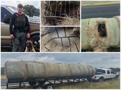 Texas Sheriff: Human Smugglers Stuffed 12 Migrants in Hay Bales on Trailer