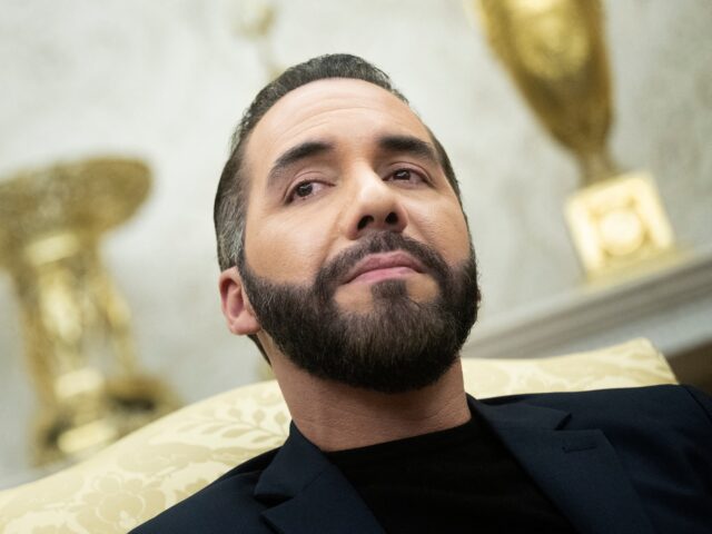 El Salvador's President Nayib Bukele meets with US President Donald Trump (not pictured) d