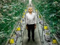 Legalise Weed Says London Mayor Sadiq Khan