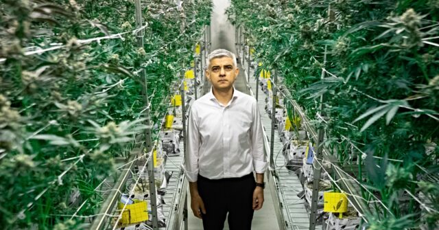 Legalise Weed Says London Mayor Sadiq Khan