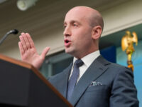 Nolte: Stephen Miller Shames Pro-MS-13 Media to Their Privileged, Hypocritical Faces