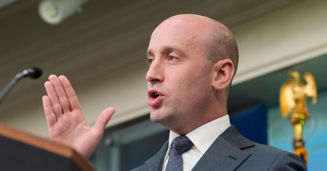 Nolte: Stephen Miller Shames Pro-MS-13 Media to Their Privileged, Hypocritical Faces