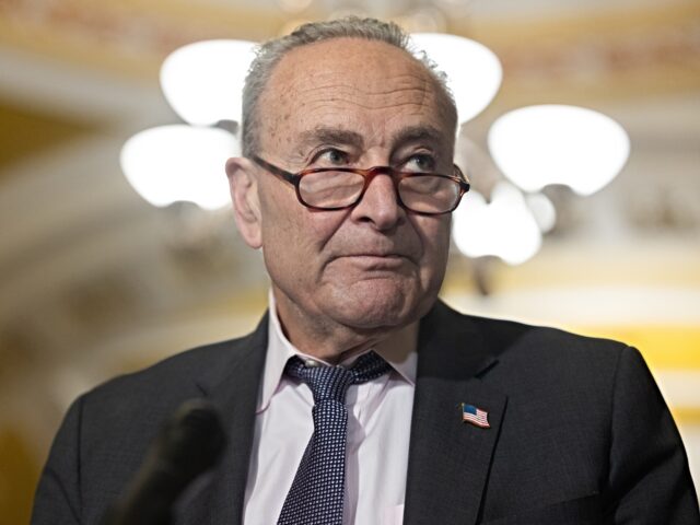 Steven Soderbergh WASHINGTON, DC - MAY 6: Senate Minority Leader Chuck Schumer (D-NY) speaks at a press conf