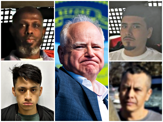 Tim Walz’s Minnesota: DHS Arrests Illegal Alien Murderer, Gang Member, Sex Offenders, Drug De