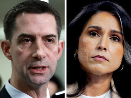 Anna Moneymaker/Getty Images, Kent Nishimura/Bloomberg via Getty Images