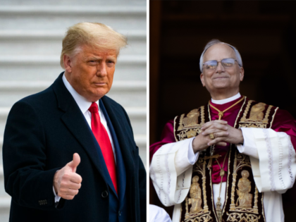 Trump, Pope Leo XIV combo