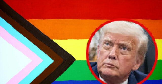 Poll: President Trump Is Winning the Transgender Debate