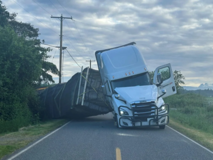 VIDEO: 250 Million Honey Bees Escape When Truck Rolls Over in Washington