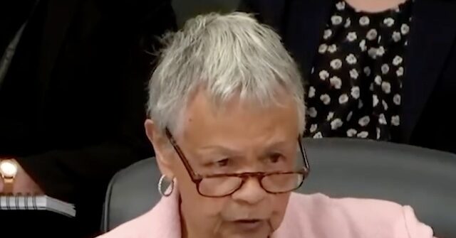 Dem Rep. Watson Coleman: If ICE Produces Body Slam Footage 'That is Manufactured'