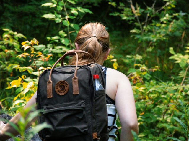 bryan-dijkhuizen-uoK1BFRJTlI-unsplash