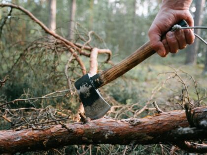 Alleged Intruder With Axe Dead After Homeowners Open Fire