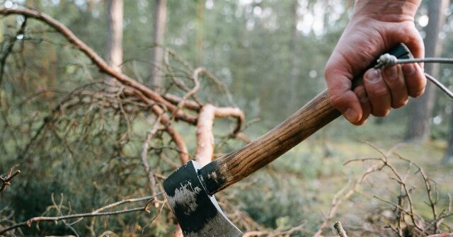Alleged Intruder With Axe Dead After Homeowners Open Fire
