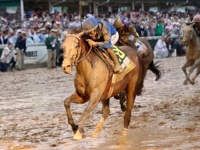 Sovereignty Crowned Winner at Kentucky Derby