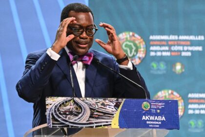 Akinwumi Adesina is stepping down as president of African Development Bank (AFDB) after 10
