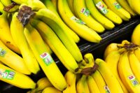 Fruit company staff find cocaine in Norway banana boxes