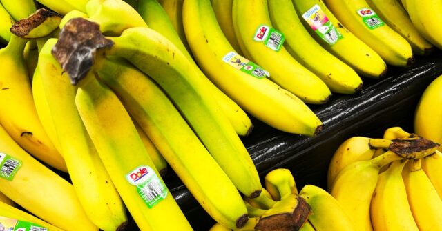 Norwegian Fruit Distributor Seizes 147 kg Cocaine Hidden in Bananas