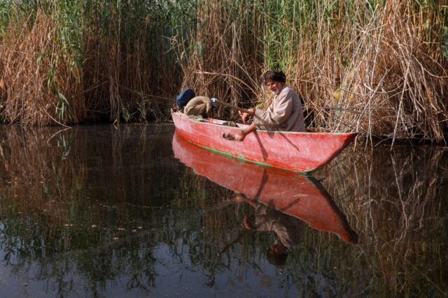 A fisherman on Iraq's receding marshes that straddle the border with Iran