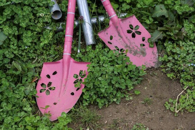 Topsoil was collected as part of large-scale decontamination efforts after the devastating