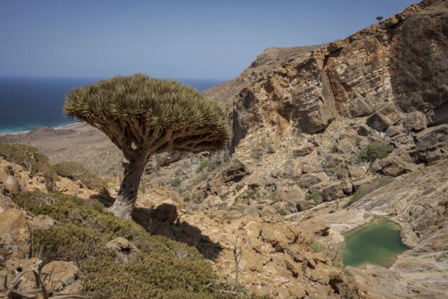 The Associated Press