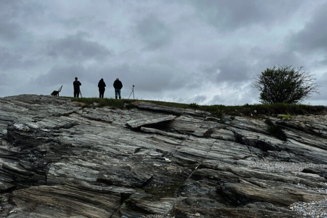 The Associated Press