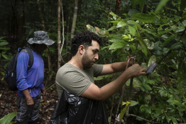 The Associated Press