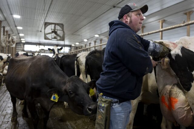 The Associated Press