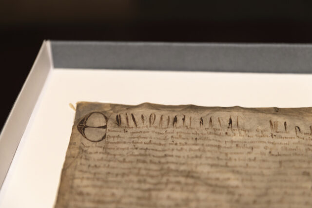 Harvard Magna Carta The Associated Press