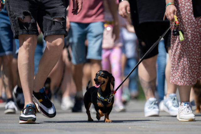 The Associated Press