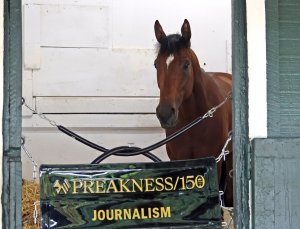 Journalism Wins 150th Preakness Stakes Influencing Crypto Markets