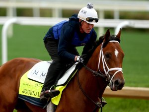 Meet the 9 horses running in Saturday's Preakness Stakes